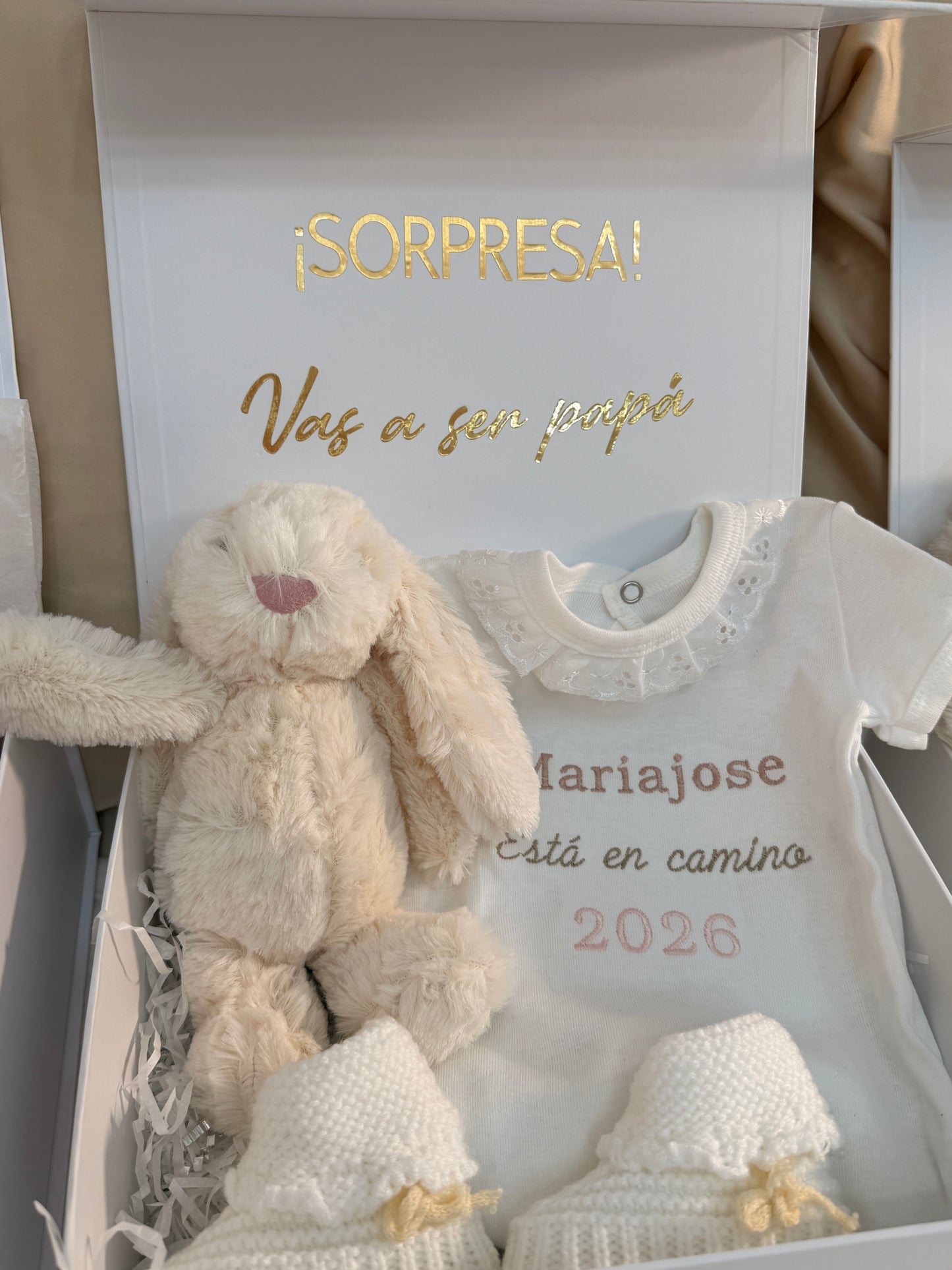 Baby Announcement / Anuncio de embarazo